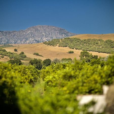 Finca Los Pajaros San Pablo 외부 사진